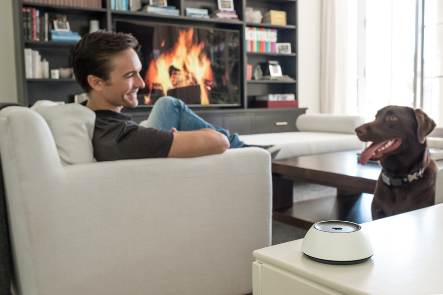 <p>Man relaxing with his dog in a modern living room with a Josh.AI voice control device in the foreground.</p>