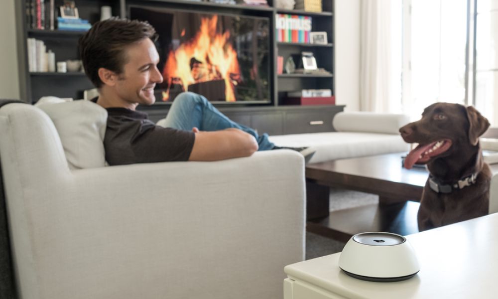 <p>Man relaxing with his dog in a modern living room with a Josh.AI voice control device in the foreground.</p>
